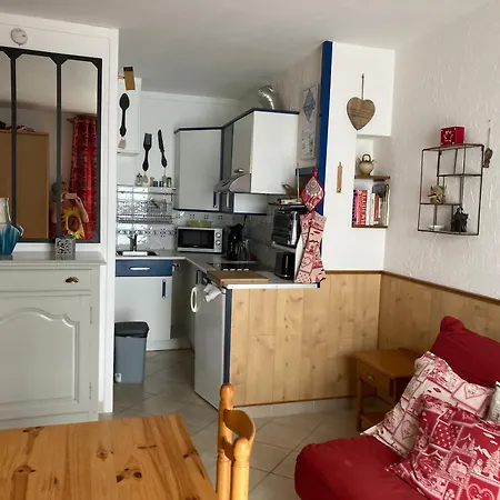 Sur Pistes Direct Face Rassemblement Ecoles De Skis Classe 3 Etoiles 4 Couchages Cosy *