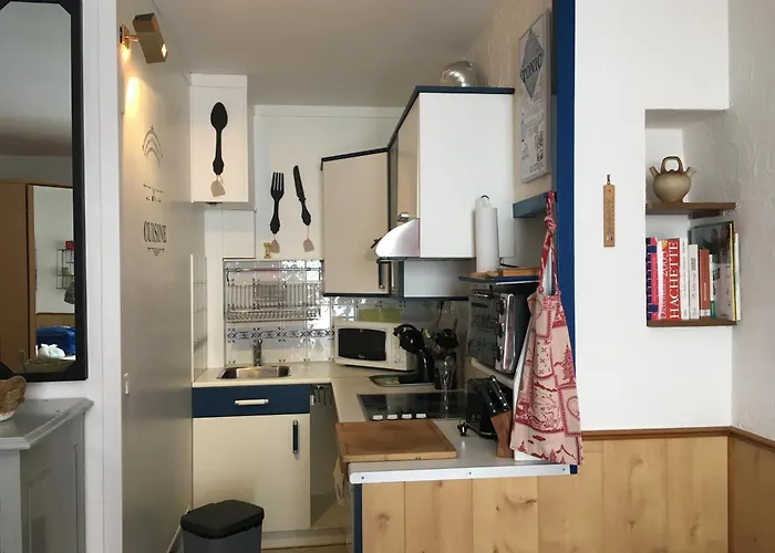 Διαμέρισμα Sur Pistes Direct Face Rassemblement Ecoles De Skis Classe 3 Etoiles 4 Couchages Cosy Saint-Lary-Soulan