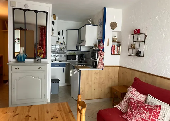 Sur Pistes Direct Face Rassemblement Ecoles De Skis Classe 3 Etoiles 4 Couchages Cosy *