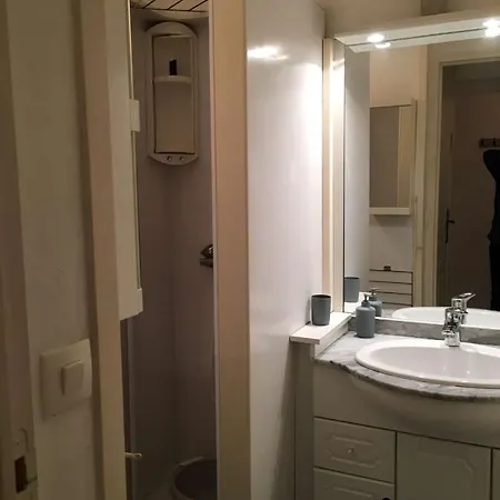 Sur Pistes Direct Face Rassemblement Ecoles De Skis Classe 3 Etoiles 4 Couchages Cosy *