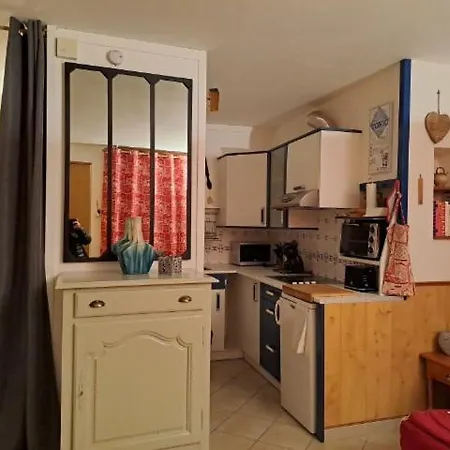 Apartment Sur Pistes Direct Face Rassemblement Ecoles De Skis Classe 3 Etoiles 4 Couchages Cosy Saint-Lary-Soulan
